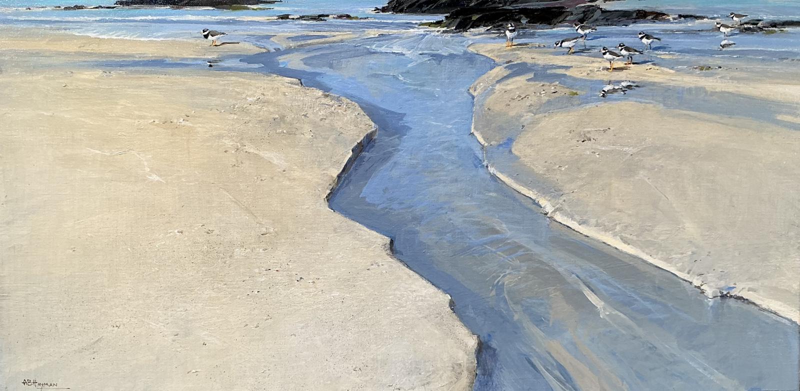 Sanna Beach - Ringed Plovers