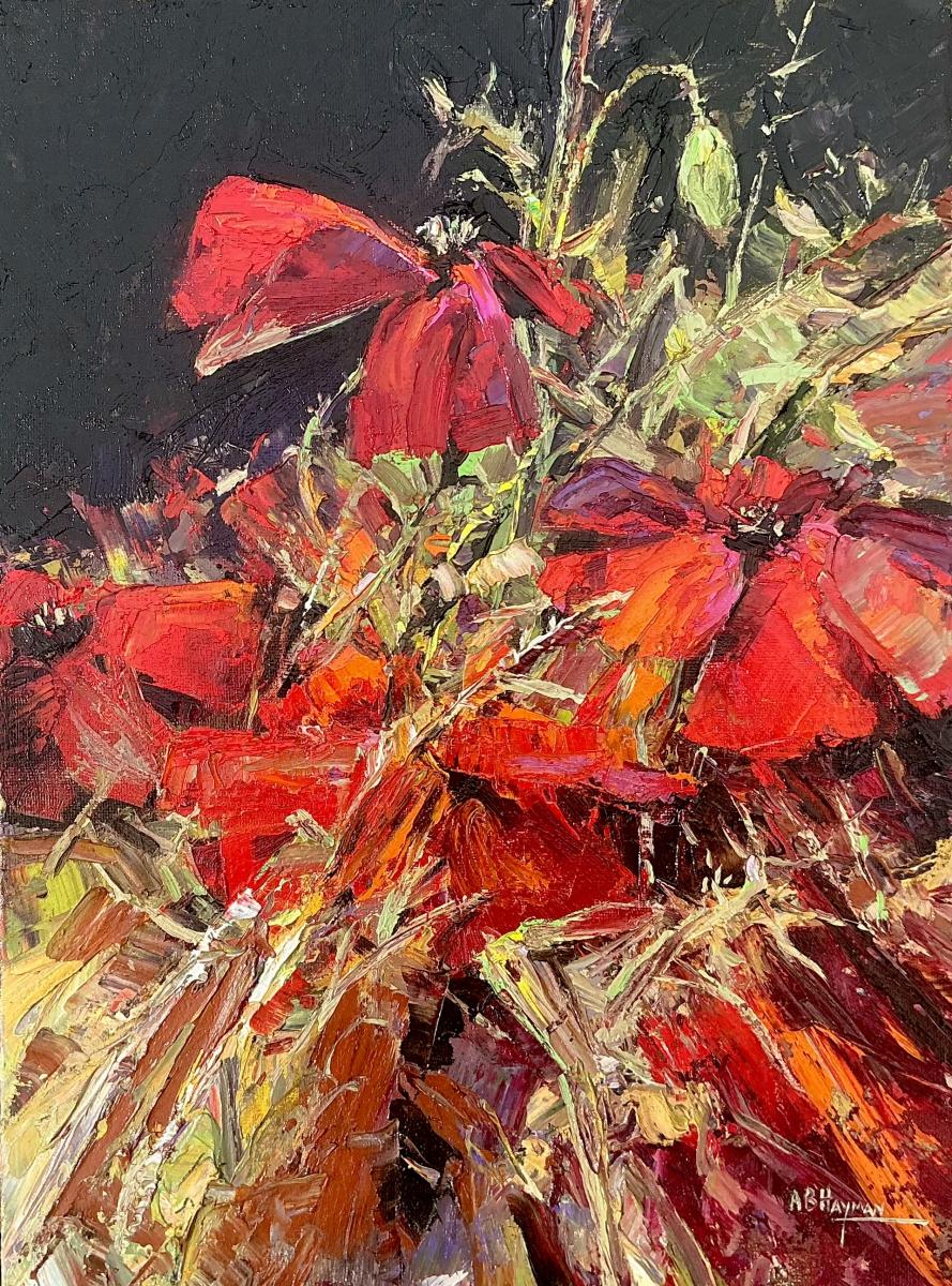 Poppies