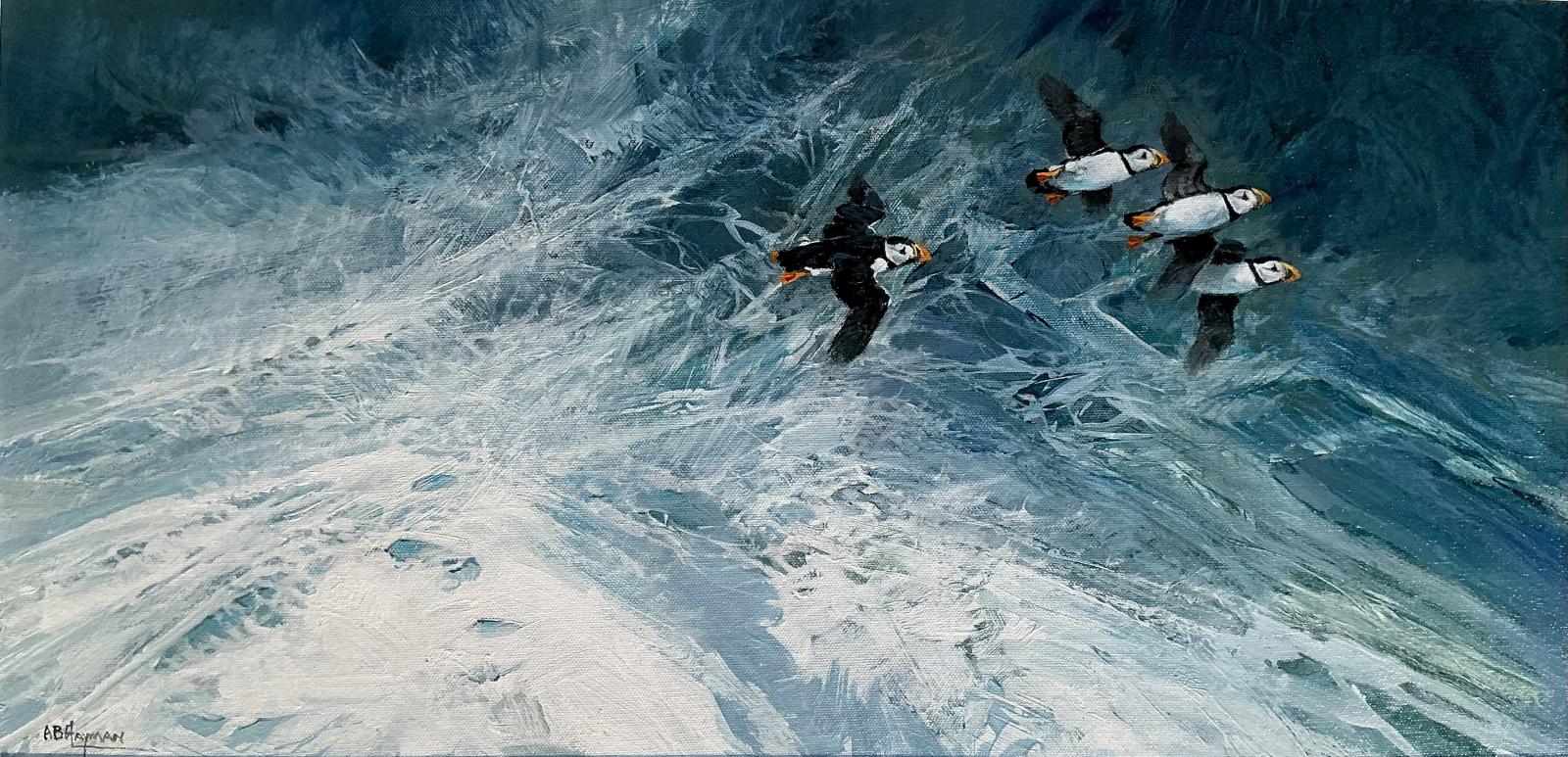 Puffins 7