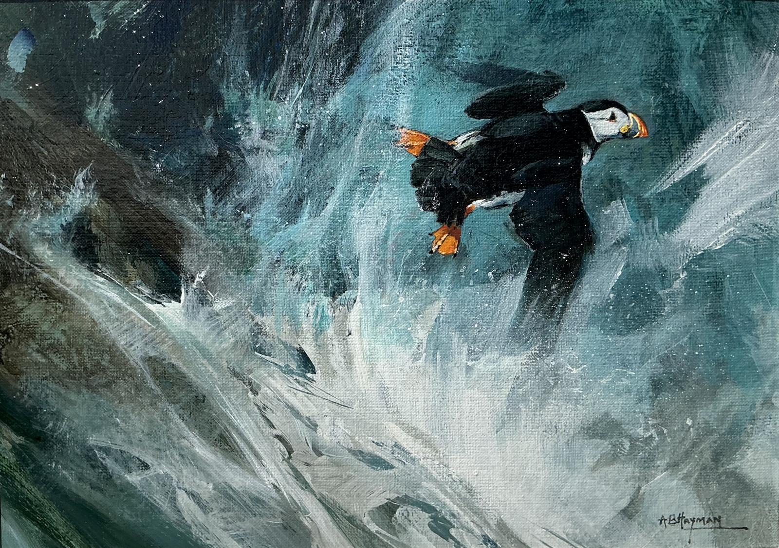 Puffin