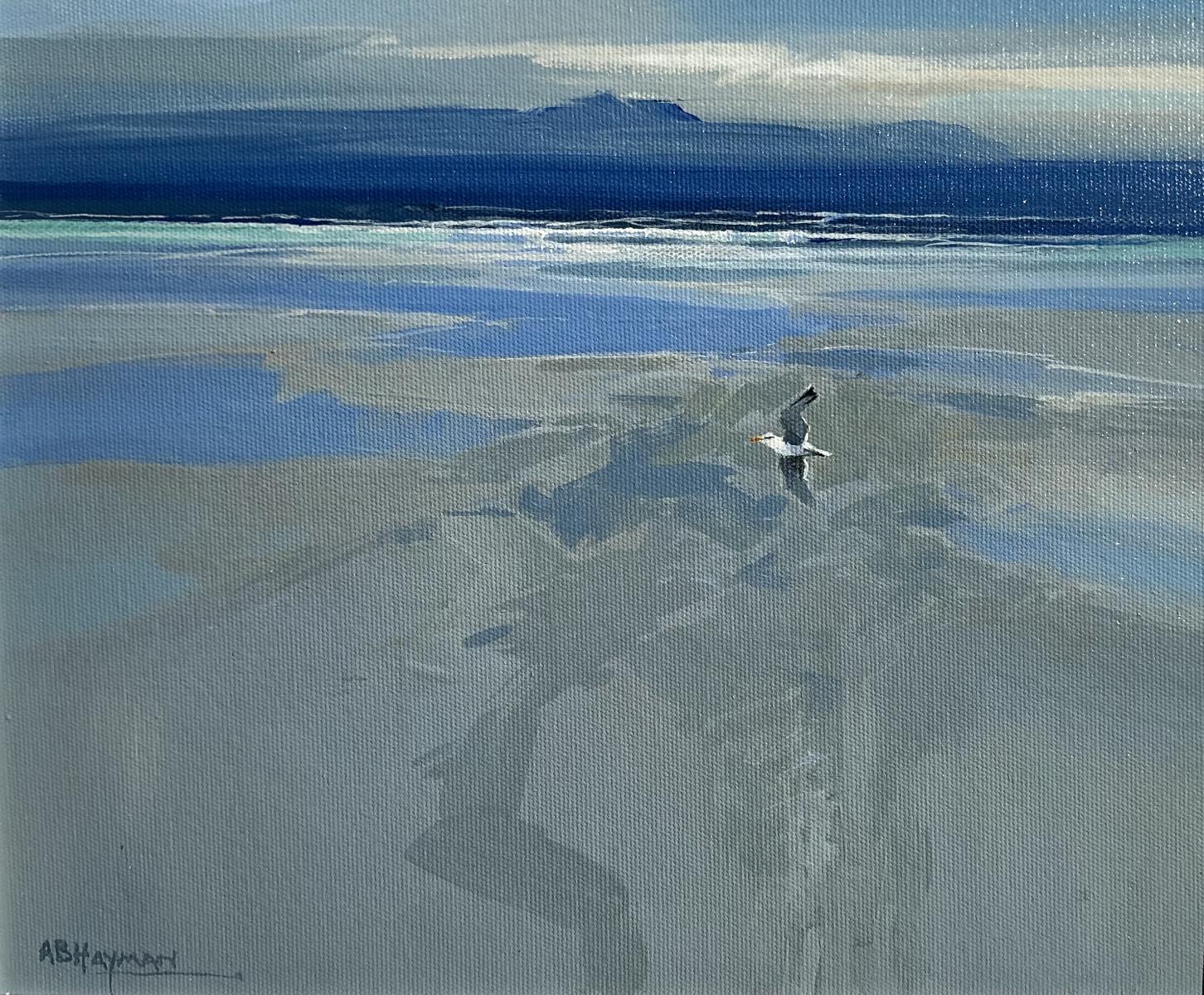 Kittiwake