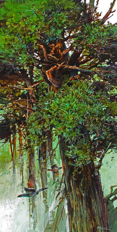 Capper & Scots Pine