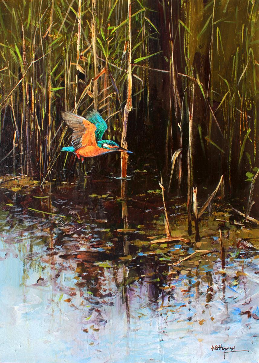 Kingfisher