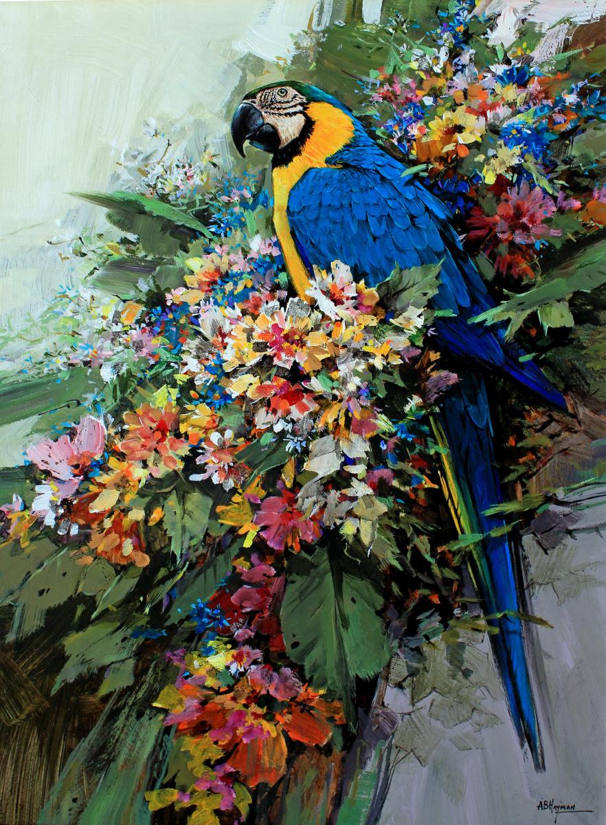 Blue And Gold Macaw