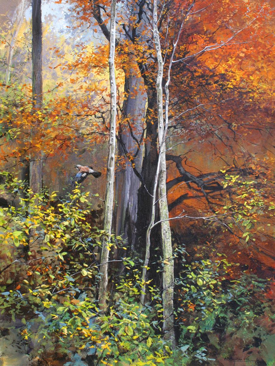Autumn Jay