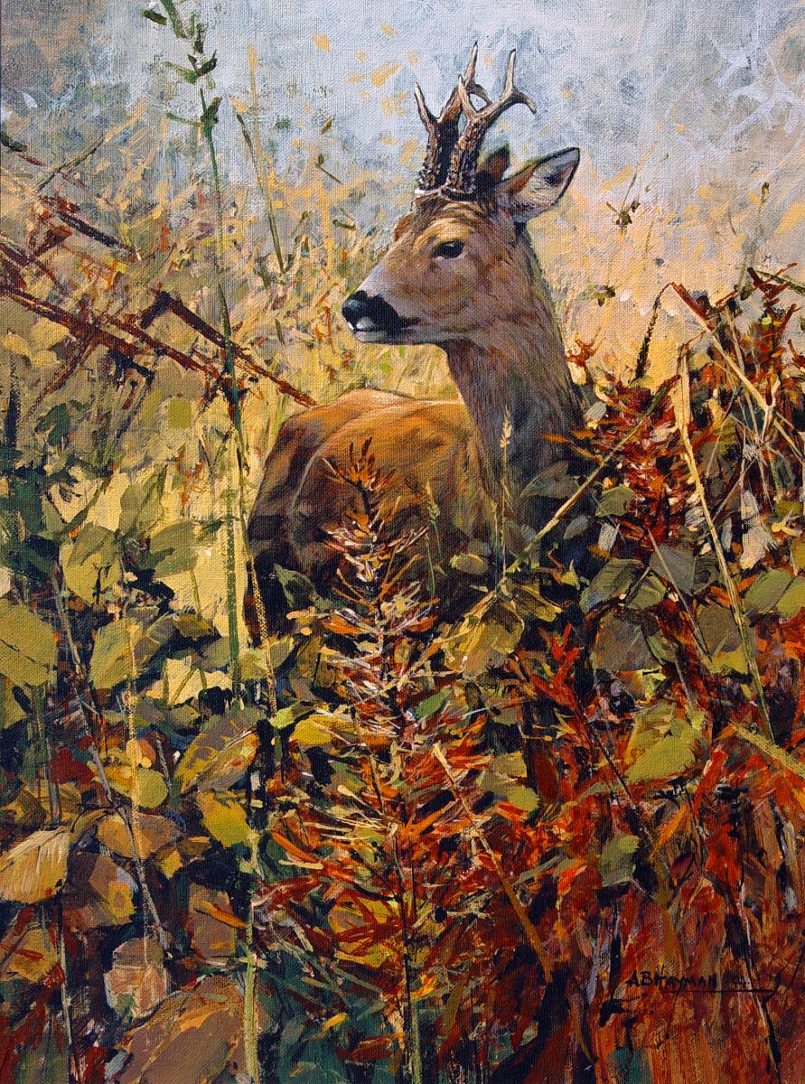 Roebuck