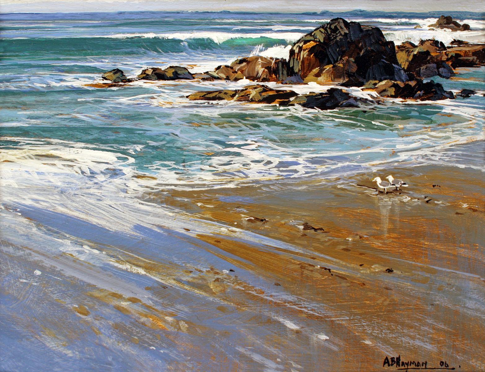 St Cyrus Beach