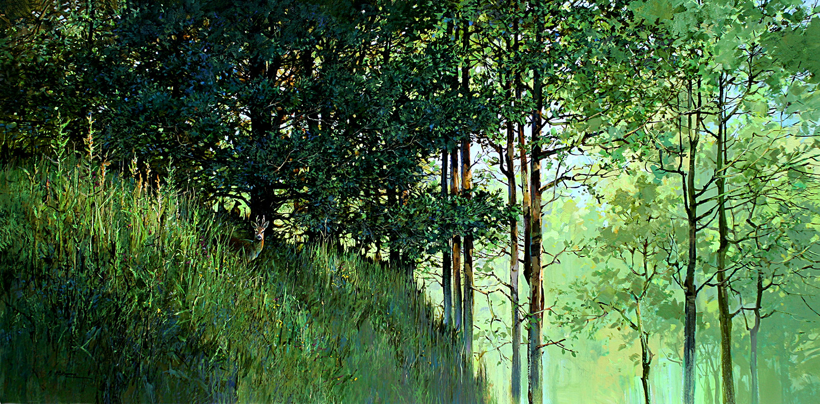 Summer Woodland