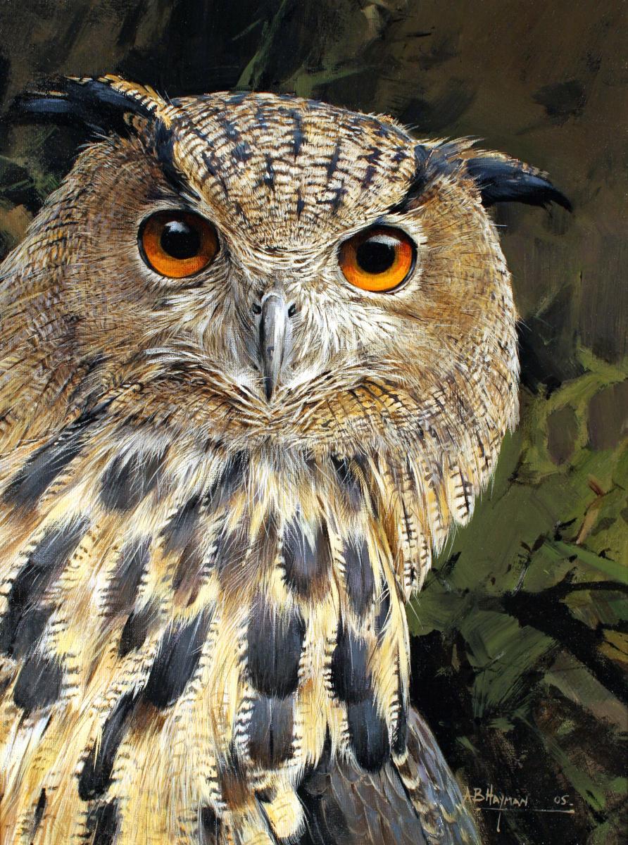 European Eagle Owl