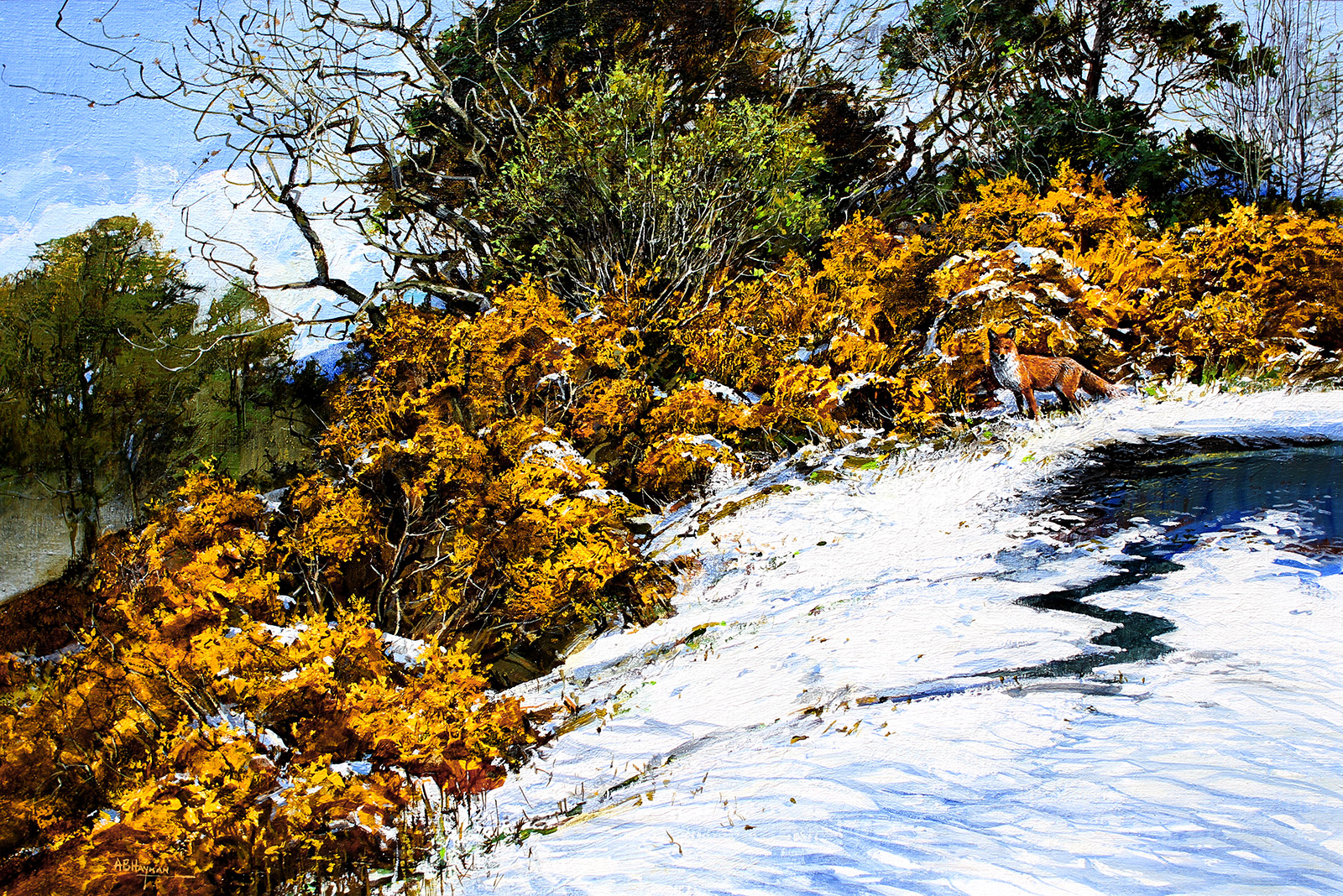 Spring Snow - Drimnin