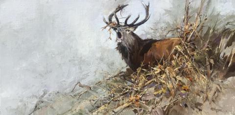 Autumn Stag