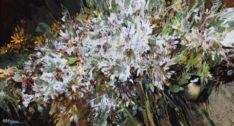 Coal Tit - Alan B Hayman