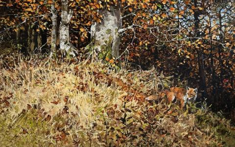 Autumn fox
